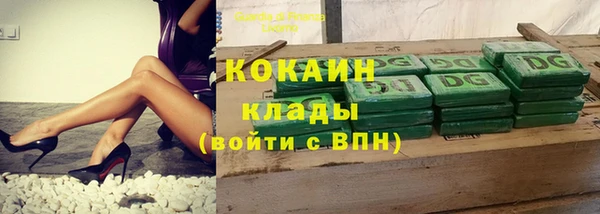 хмурый Алексин
