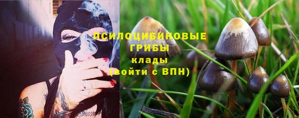 каннабис Алзамай