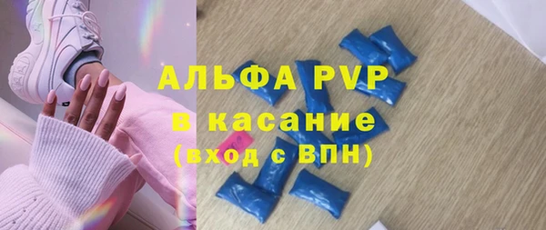 хмурый Алексин