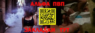 молекула духа Кингисепп