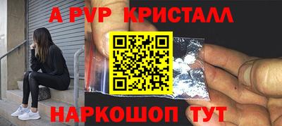 молекула духа Кингисепп