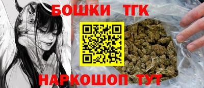 молекула духа Кингисепп