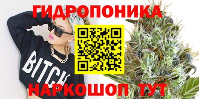 PSILOCYBIN Кинель