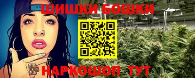 молекула духа Кингисепп