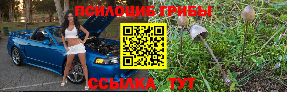 Псилоцибиновые грибы Cubensis  Вход с VPN  Кропоткин  Псилоцибиновые грибы MAGIC MUSHROOMS 