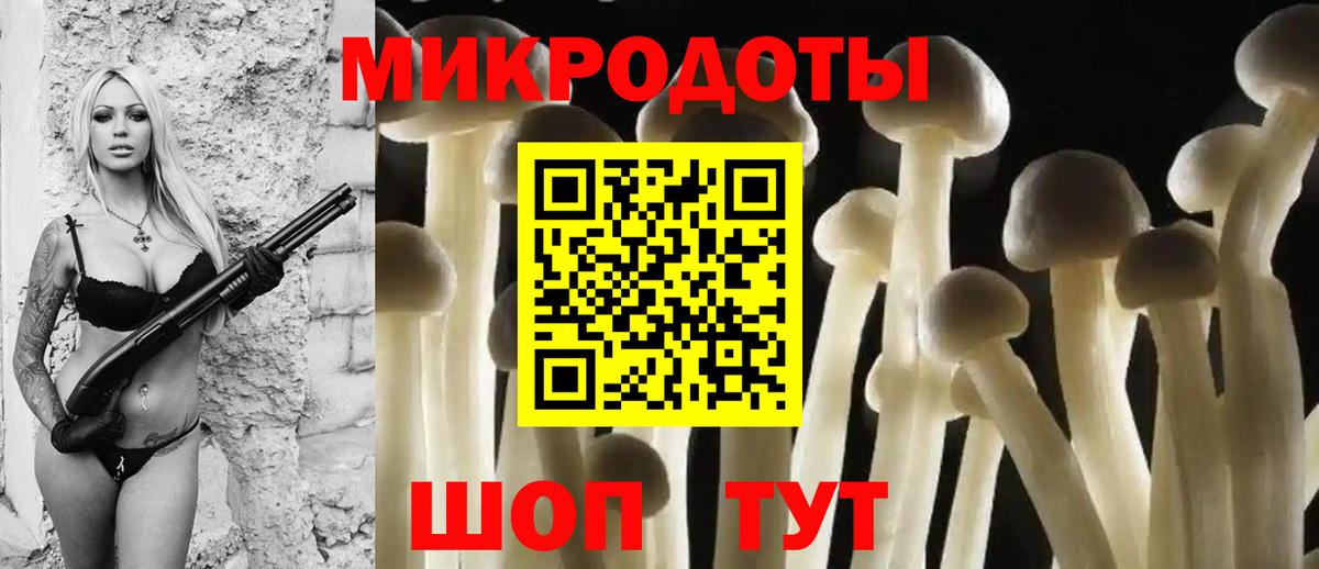 Галлюциногенные грибы мухоморы Кропоткин